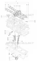 DISTRIBUTION  BRUTALE mvagusta-moto 2011 BRUTALE 920 30